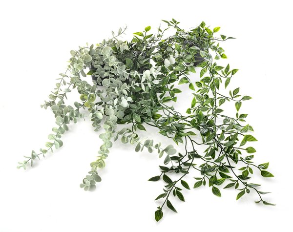 Pourquoi choisir des lierres artificielles plutôt que des vraies plantes ?