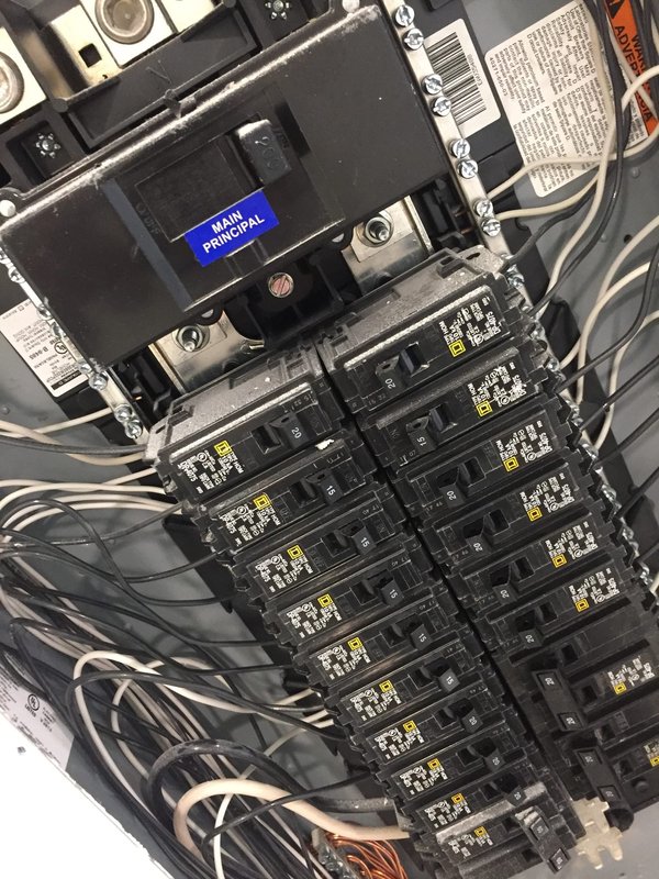 Comprendre le fonctionnement de la pieuvre électrique