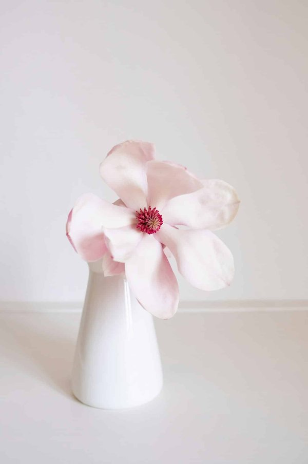 Comment décorer votre maison avec un vase soliflore ?