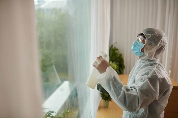 Passez par une entreprise désinsectisation pour éliminer efficacement tous les insectes