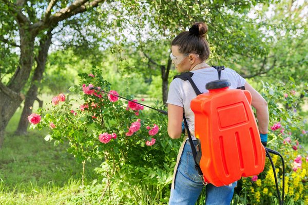 Comment choisir le modèle de pulvérisateur idéal pour votre jardinage ?
